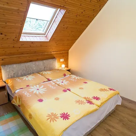 公寓 Andrea Apartmanhaz